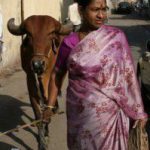Expatriation, mythe et réalité : Hélène à Bombay