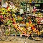 Expatriation, mythe et réalité : Emilie à Amsterdam