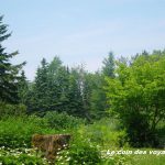 Du camping au Canada en hiver c’est possible !