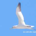 Les peurs qui empêchent de voyager