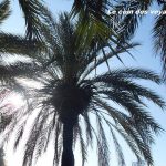 C&rsquo;est quoi le bonheur ? Les vacances !