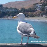 Et si vous partiez à l&rsquo;étranger gratis ou presque… 10 pistes pour Les Blogueuses !