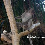 5 Rencontres animalières drôles, insolites et sympas (et en bonus les rencontres ratées !)