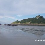 En France aussi, il y a des trésors…Bientôt le 1er rdv !