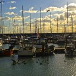 Guillaume, un français à Brighton