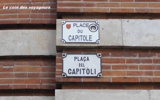 Safari Urbain multi-cités, multi-citations