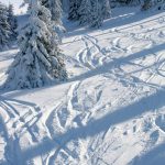 Vive la montagne, Vive la neige, Vivement le ski !