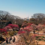 Pour l&rsquo;amour du Japon : le Fukuoka de Béné