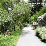 La Jaÿsinia, le jardin botanique Alpin de Samoens