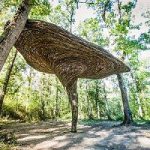 #EnFranceAussi : Promenons nous dans le bois de St Elix dans le Gers