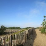 #EnFranceAussi – La belle plage de la Pointe du Cap Ferret