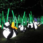 Un Festival des Lanternes pas seulement en Chine mais #EnFranceAussi