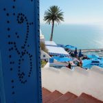 Et si je retournais en Tunisie