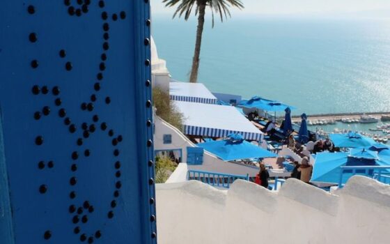 Et si je retournais en Tunisie