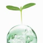 #16 Revue du Web Tourisme