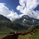 Le parcours insolite de Clara et Björn, gardiens de refuge en Vanoise