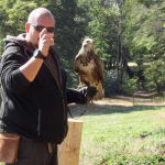 Suivis par des rapaces