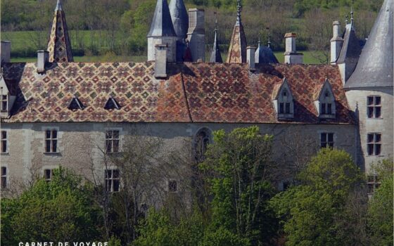 Off We Gooo : deux amis, 420 destinations et des carnets de voyage gratuits